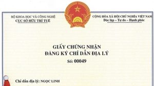 Thủ tục đăng ký chỉ dẫn địa lý