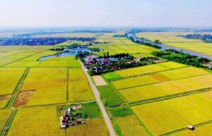 đơn kiến nghị về đất đai