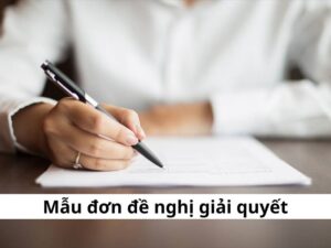 mẫu đơn đề nghị giải quyết